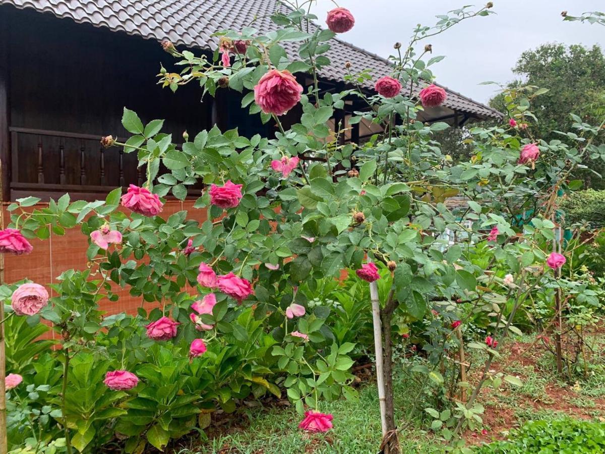 Phuong Nam Gia Trang Farmstay Gia Nghia Exteriör bild
