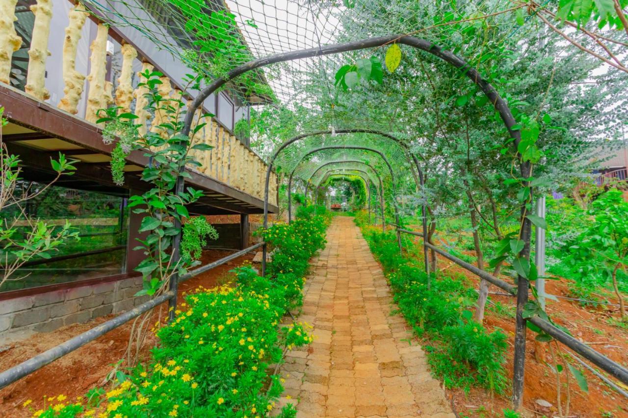 Phuong Nam Gia Trang Farmstay Gia Nghia Exteriör bild